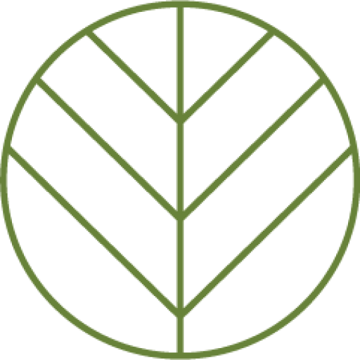 SILVIVO